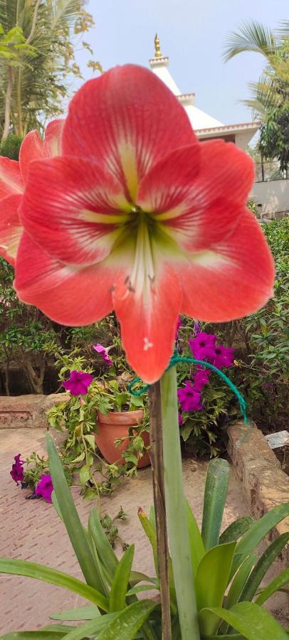 Upasana Eco Resort Bolpur Kültér fotó